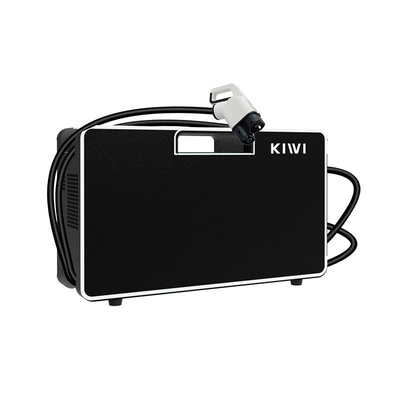 Fast Ev Car Dc Ladegerät KIWI 150V-750V Portable CCS Ev Ladegerät für Tesla Modell Y/S